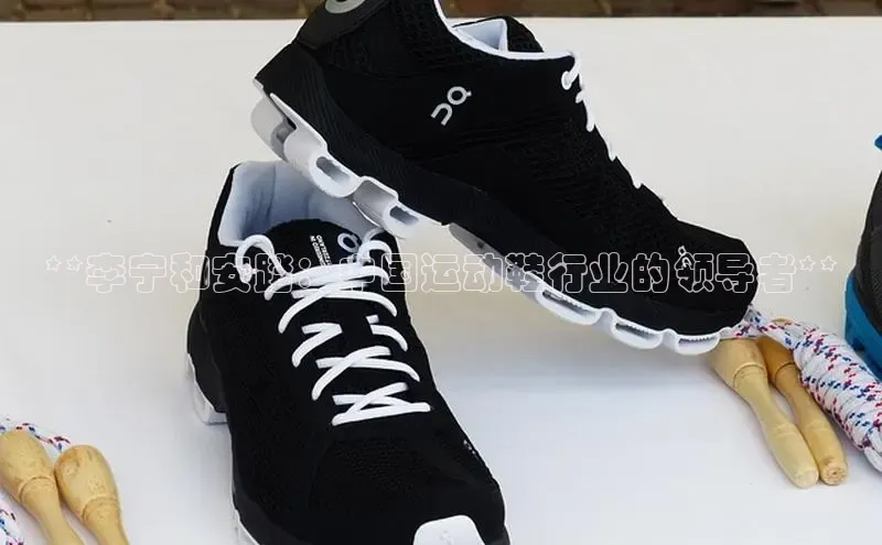 球速体育下载安装百度搜索资源平台**李宁和安踏：中国运动鞋行业的领导者**