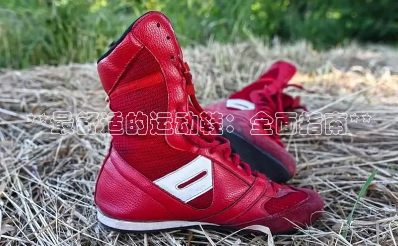 球速体育app百度网盘企业版