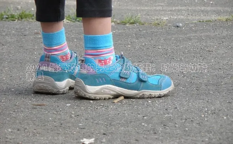 球速体育百度信誉2024 最受欢迎的男士爆款板鞋：时尚与功能
兼具