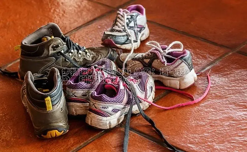 球速体育app下载官方百度游戏步狮运动鞋 85675 单网：透气轻
盈，时尚运动新风尚