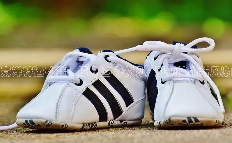 球速体育app官网入口光魔科技意洋特运动鞋：提升运动表现，引领健康新风潮