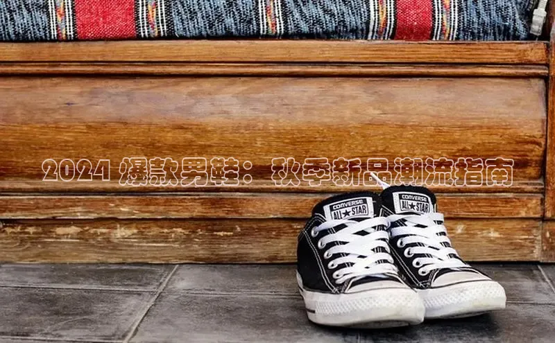 球速体育app下载官方百度游戏2024 爆款男鞋：秋季新品潮流指南