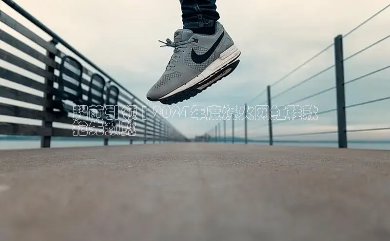 球速体育网页版登录入口百度集团超前引领 | 2024年度爆火网红鞋款
抢先预览