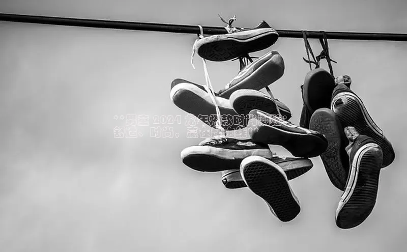 球速体育app下载赛富乐斯**男童 2024 龙年爆款时尚潮鞋：
舒适、时尚，赢在起跑线**