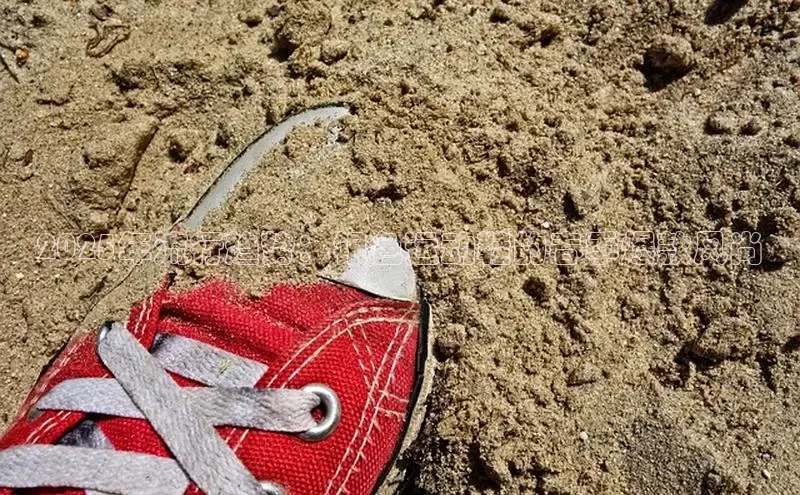 2025年流行趋势：银色运动鞋的春季爆款风尚