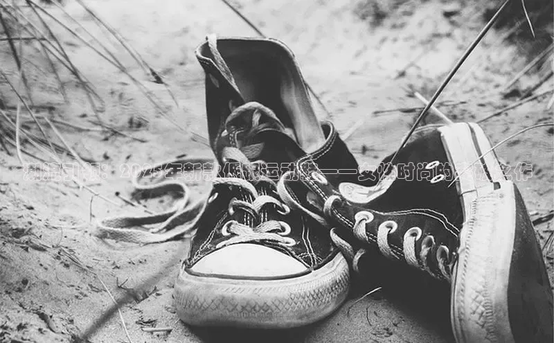 球速体育登录入口