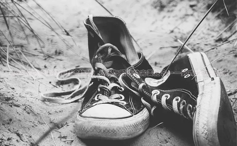 2025春季新款男鞋潮流趋势：经典与现代的完美结合——男式运动鞋精选