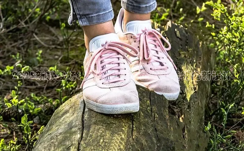 球速app官方入口