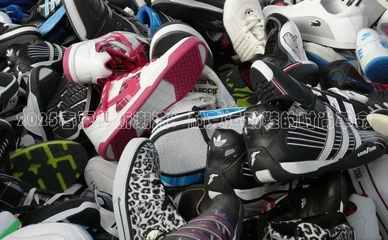 球速体育下载安装