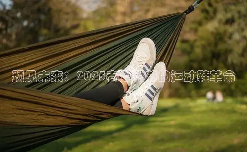 速球app下载入口