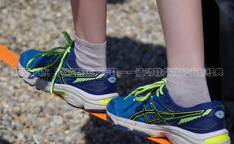 球速体育官方入口